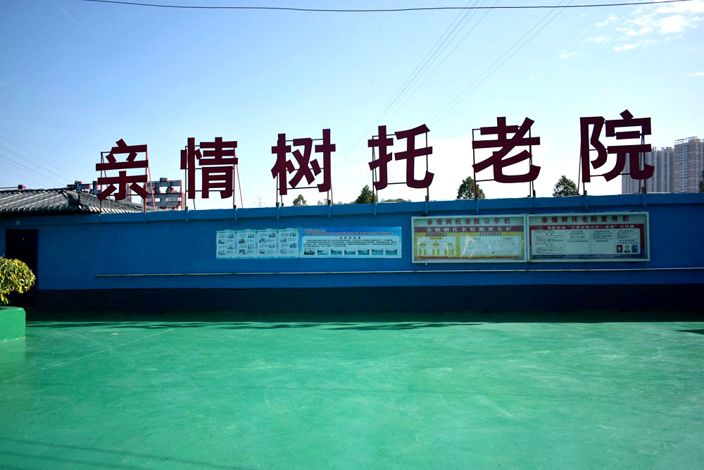 亲情树环境展示11